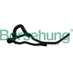 Compre Tubo flexível do radiador da Borsehung B19180 a um preço baixo por 24,49 €