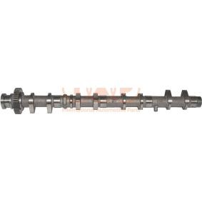 Nockenwelle 124-17151G