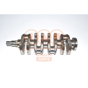 Acquista Albero motore da IAP QUALITY PARTS online per Safari (42_FD) a prezzi moderati