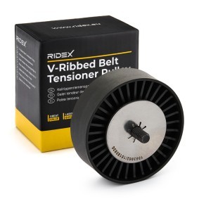 Compre Polea inversión / guía, correa poli v de RIDEX online para X5 (E70) a precios moderados
