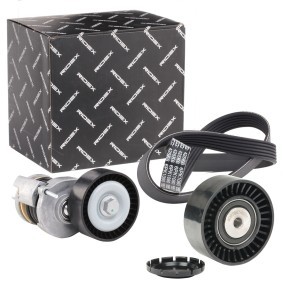 Achetez des Kit de courroie d'accessoire de chez RIDEX en ligne pour Crafter 30-50 Camion plate-forme/Châssis (2F) à prix modérés
