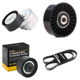 Acquista Kit Cinghie Poly-V da RIDEX 542R0336 a buon mercato per soli 70,47 €