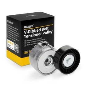 Comprar Tensor de correa poli V de RIDEX 541V0048 a bajo precio de 18,04 €