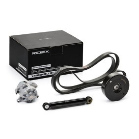 Achetez des Kit de courroie d'accessoire de chez RIDEX en ligne pour Rexton / Rexton II (GAB_) à prix modérés
