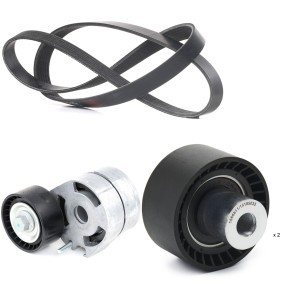 Acquista Kit Cinghie Poly-V da RIDEX 542R0458 a buon mercato per soli 93,40 €