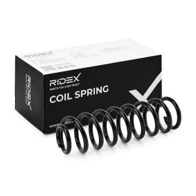 Acquista Molle da RIDEX online per Classe R (W251, V251) a prezzi moderati