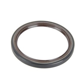 Acquista Paraolio, Cambio manuale da Euroricambi 95531564 a buon mercato per soli 27,78 €