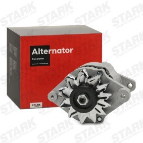 Lichtmaschine SKGN-0321066 für PRIMERA Traveller (W10) für 103,66 CHF