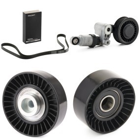 Achetez des Kit de courroie d'accessoire de chez RIDEX en ligne pour Crafter 30-50 Camion plate-forme/Châssis (2F) à prix modérés