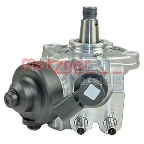 Comprar Bomba inyectora de METZGER 0830093 a bajo precio de 836,73 €