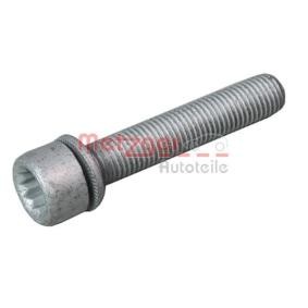Bremssattelschraube 6250007S