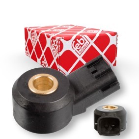 Klopfsensor 108119