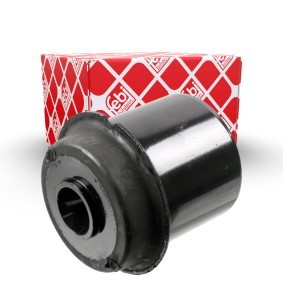 Köp Upphängning, axelstomme av FEBI BILSTEIN 170091 till det låga priset 316,43 kr