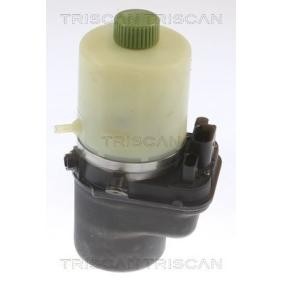 Servopumpe von TRISCAN