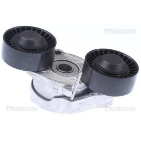 Compre Tensor de correia, correia trapezoidal estriada da TRISCAN 8641 173006 a um preço baixo por 46,18 €