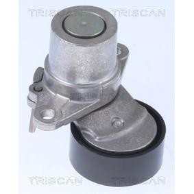 Compre Tensor de correia, correia trapezoidal estriada da TRISCAN 8641 293056 a um preço baixo por 58,81 €