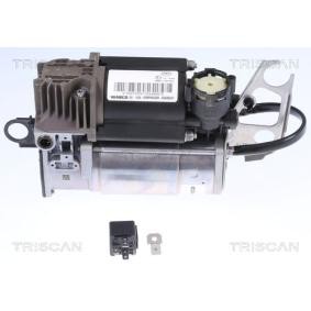 Acquista Compressore sospensioni da TRISCAN 8725 29102 a buon mercato per soli 2248,43 €