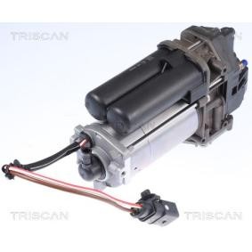 Compre Compressor de suspensão a ar da TRISCAN 8725 81101 a um preço baixo por 1212,80 €