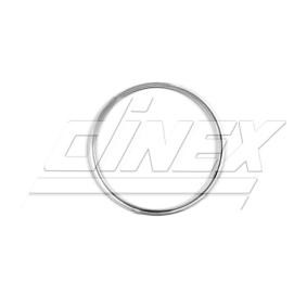 Köp Packning till avgasrör av DINEX 4IL025 till det låga priset 1417,55 kr