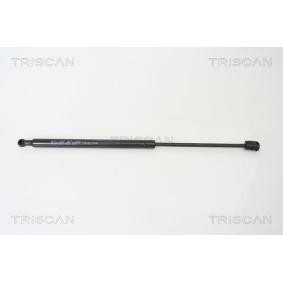 Achetez des Vérin de coffre KAWE 8710 15227 à prix pour 20,02 €