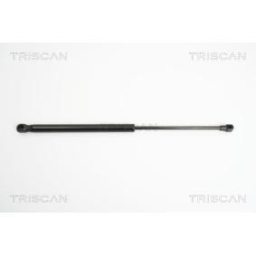 Achetez des Vérin de coffre KAWE 8710 15232 à prix pour 21,04 €