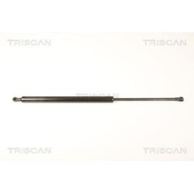 Heckklappendämpfer 8710 28238 für PEUGEOT
