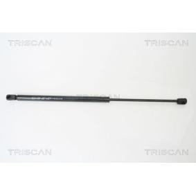 Achetez des Vérin de coffre KAWE 8710 29270 à prix pour 23,95 €