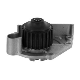 Wasserpumpe CP 280 000S für LOTUS