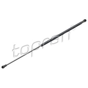 Heckklappendämpfer 409 894