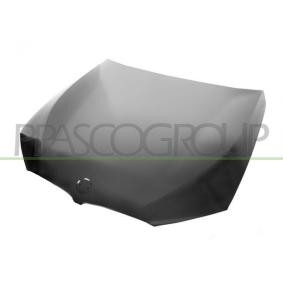 Motorhaube BM0523100