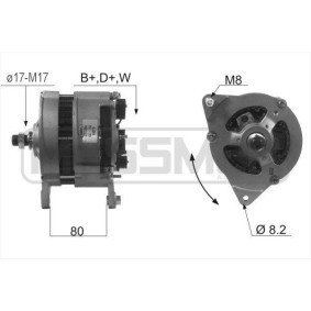 Lichtmaschine 210002A für MG