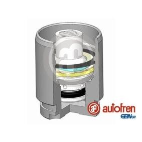 Kolben, Bremssattel D025545K von AUTOFREN SEINSA günstig für 10,14 € online kaufen
