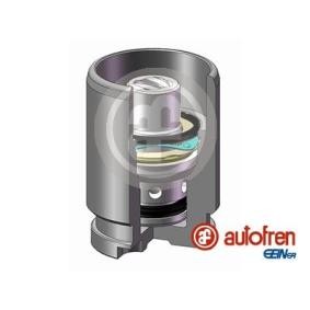 Kolben, Bremssattel D02594K