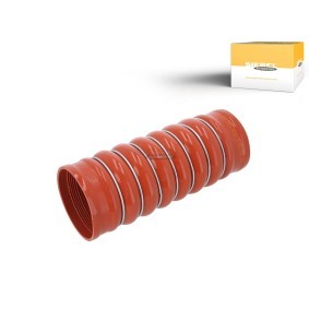 Comprar Piloto intermitente de SIEGEL AUTOMOTIVE SA5A0121 a bajo precio de 24,99 €