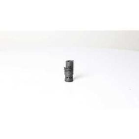 Achetez des Thermostat, refroidissement d'huile BSG BSG 15-125-008 à prix pour 40,28 €