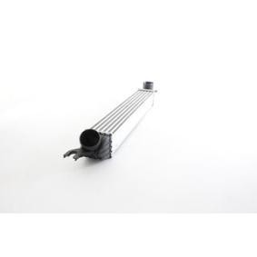 Achetez des Intercooler BSG BSG 15-535-003 à prix pour 121,43 €