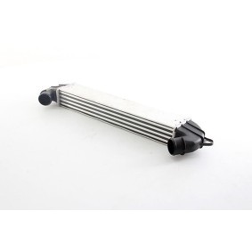 Achetez des Intercooler BSG BSG 25-535-002 à prix pour 101,61 €