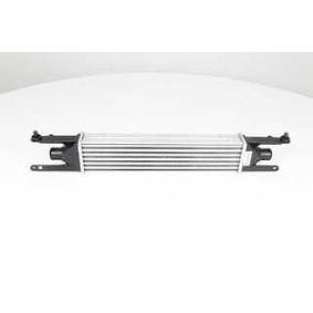 Köp Intercooler av BSG BSG 25-535-003 till det låga priset 1170,07 kr