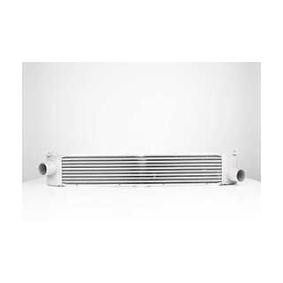 Köp Intercooler av BSG BSG 25-535-006 till det låga priset 1960,68 kr