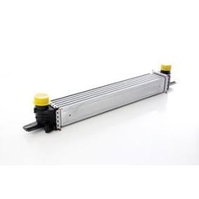 Kjøp Intercooler av BSG BSG 25-535-007 til den lave prisen 1916,00 NOK