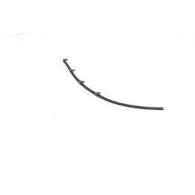 Schlauch, Leckkraftstoff BSG 25-725-012 für FIAT