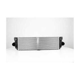 Köp Intercooler av BSG BSG 60-535-013 till det låga priset 1694,38 kr