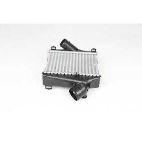 Achetez des Intercooler BSG BSG 60-535-015 à prix pour 164,55 €