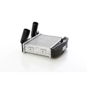 Achetez des Intercooler BSG BSG 60-535-019 à prix pour 122,45 €