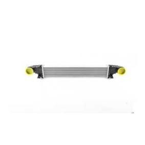 Ladeluftkühler BSG 60-535-021 von BSG günstig für 119,01 € online kaufen