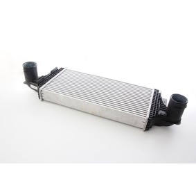 Comprar Intercooler de BSG BSG 60-535-023 a bajo precio de 247,69 €