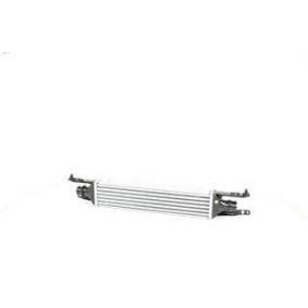 Kjøp Intercooler av BSG BSG 65-535-003 til den lave prisen 2220,89 NOK
