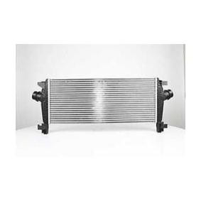 Kjøp Intercooler av BSG BSG 65-535-005 til den lave prisen 1913,69 NOK