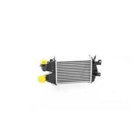 Kjøp Intercooler av BSG BSG 65-535-006 til den lave prisen 2079,24 NOK