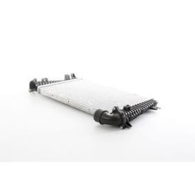 Kjøp Intercooler av BSG BSG 65-535-009 til den lave prisen 5052,72 NOK